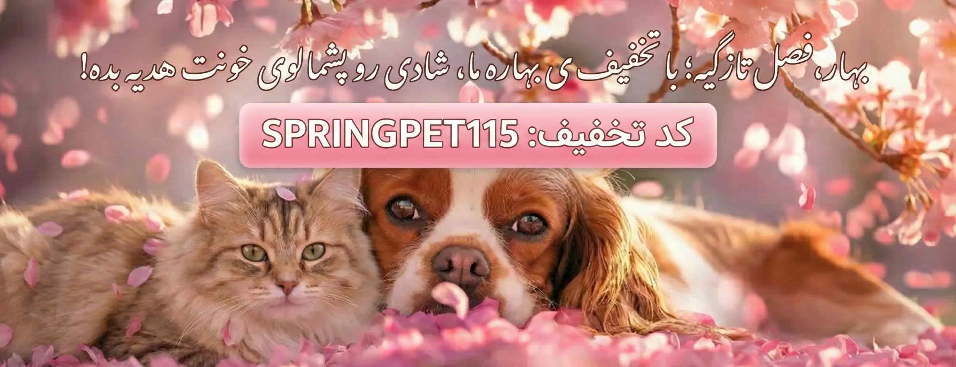 اسلاید 4